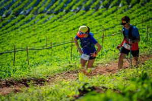 BIB: 2377
                            <button type="button" onclick="openModal(19162541)" class="btn btn-primary btn-sm float-right btn-popup" data-toggle="modal" data-target=".modal-high-quality">
                        <i class="fas fa-shopping-cart"></i> Add to Cart
                    </button>
                                            <button type="button" onclick="isThisMe(19162541, true)" class="btn btn-success btn-sm float-right btn-popup btn-isme hidden" data-toggle="tooltip" data-placement="bottom" title="นี่คือรูปของคุณใช่ไหม คลิกที่นี่เพื่อเอาเข้าอัลบั้ม">
                        <i class="fas fa-plus"></i> Add to album
                    </button>
                    <button type="button" onclick="isThisMe(19162541, false)" class="btn btn-warning btn-sm float-right btn-popup btn-isnotme hidden">
                        <i class="fas fa-ban"></i> Remove from album
                    </button>